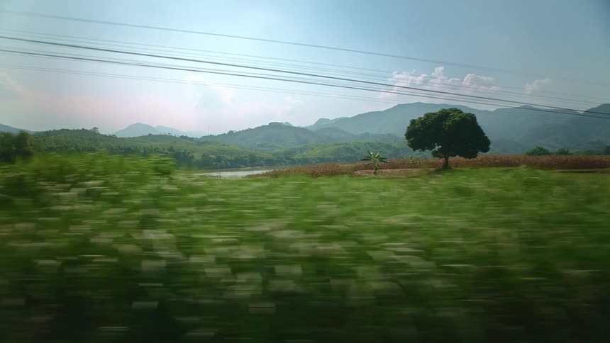 Landscape view of grass in fields