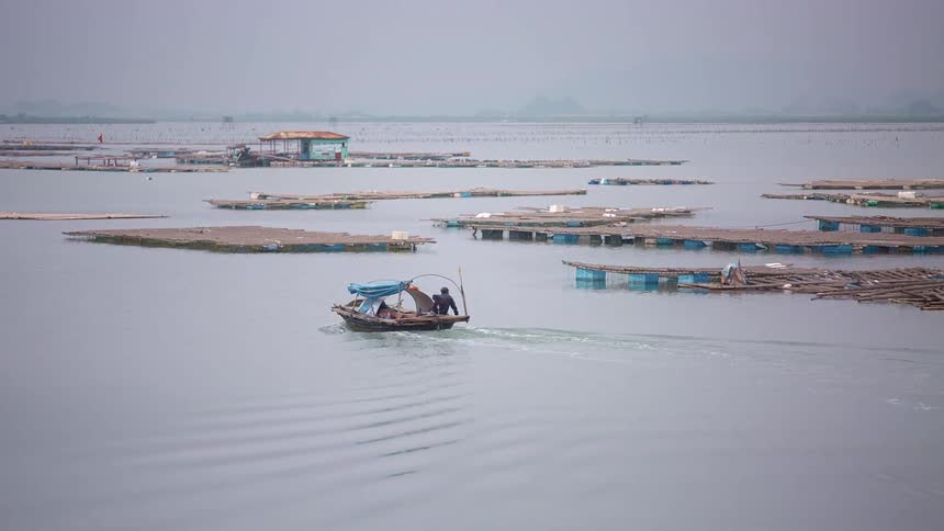 Person navigates small boat past docks on hazy day leaving a wake