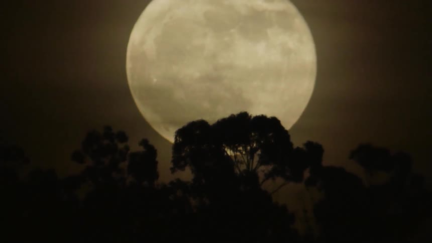 A full moon in the sky