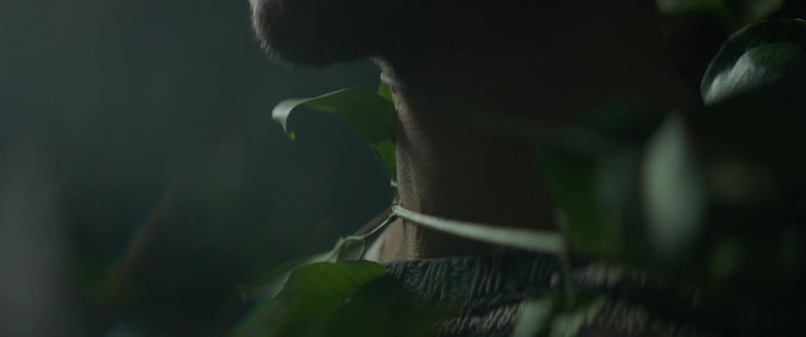 Vines are wrapped around a man's body