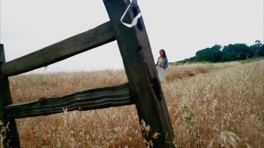 A man and woman walk in the field together