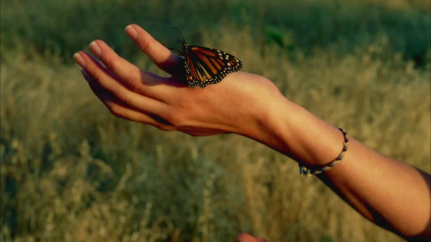 Woman holds a butterfly in her hands while standing in a grass field near a hill at sunset