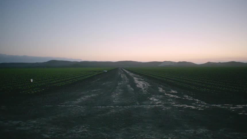 A dirt road with open fields on both sides