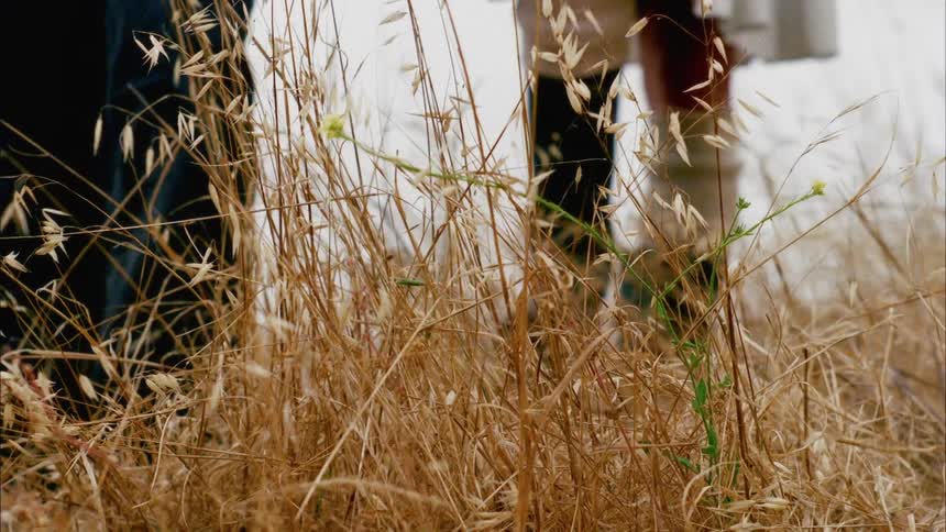 People walk through dried grasses one wearing jeans and the other wearing boots