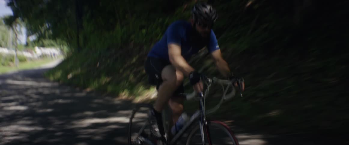A bicyclist rides on a road lined with trees