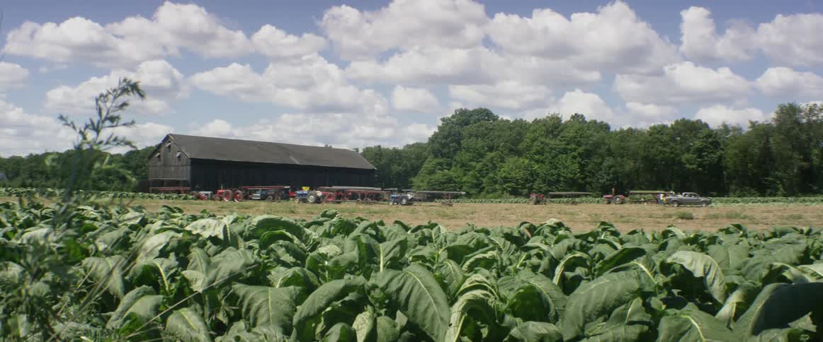 Clouds float over a barn and field
