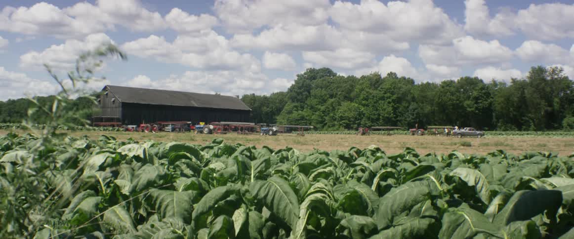 Close up of some crop fields with a barn in the distance
