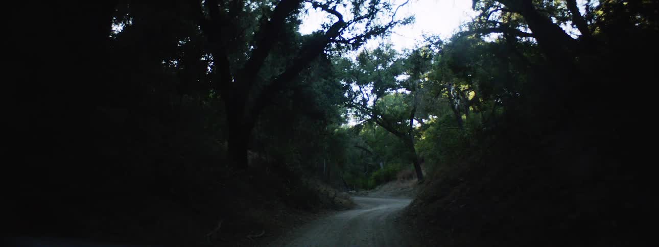 A dark road through a valley between hills in a forest on a sunny day