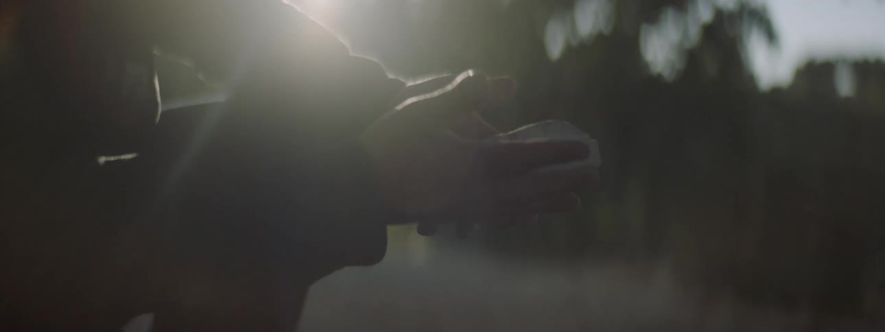 A person holding a rock with trees the sky and the sun in the background
