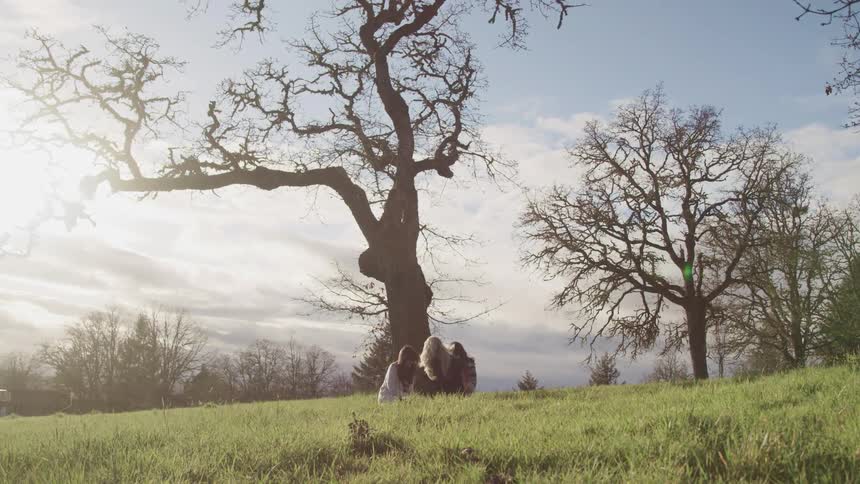 Three women sit on green glass under a bare tree talk to each other as the sun shines brightly