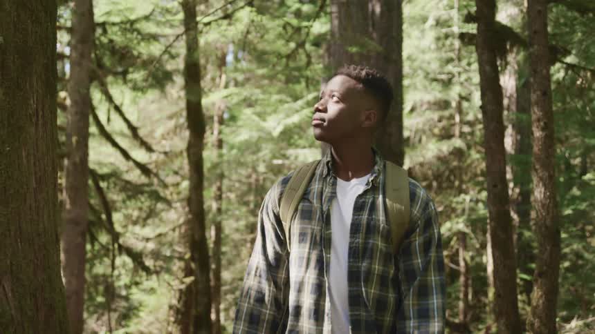 Young man wearing backpack walks through the trees in the forest