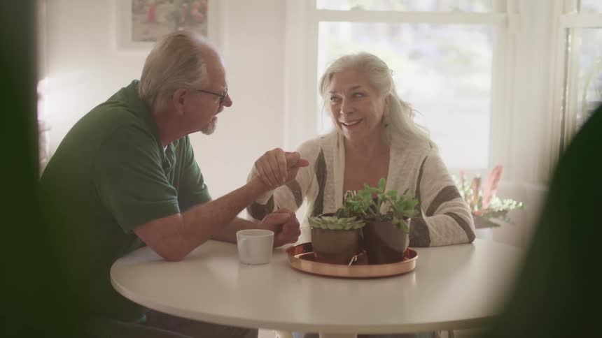 Elderly man kisses elderly womans hand and look at each others eyes