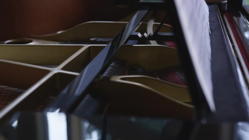 The chords and hammers inside of an impressive grand piano can be see as it is opened