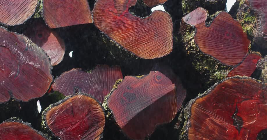 Sawdust falls in front of pieces of cut wood