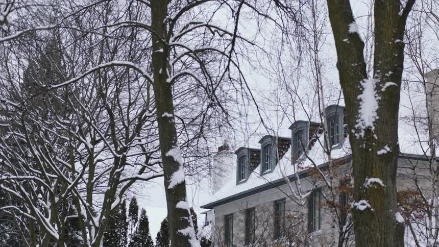 Trees in front of a snow covered house