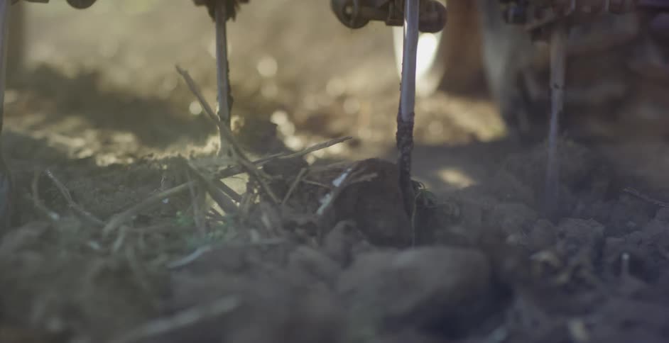 Cultivator loses the soil breaking new ground to create new planting beds