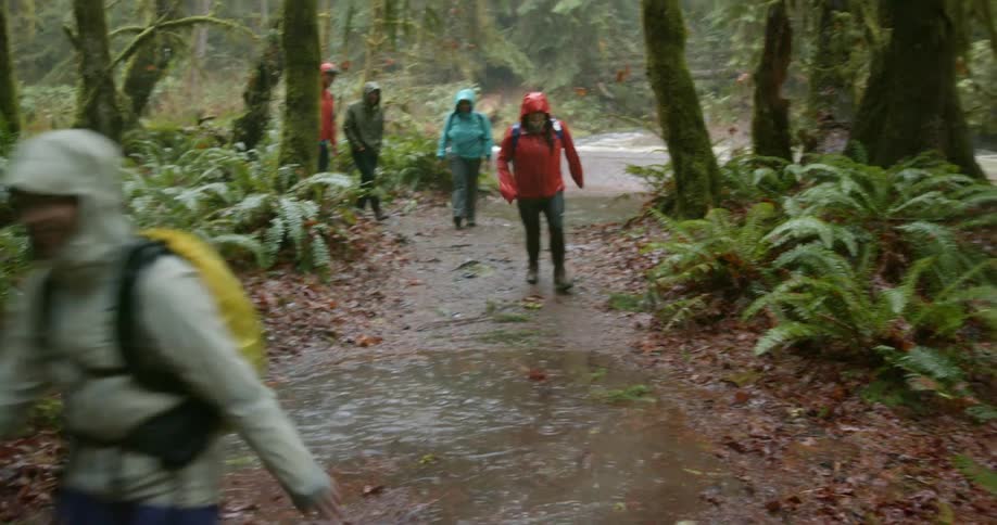 Hikers take turns jumping in a puddle in a jungle