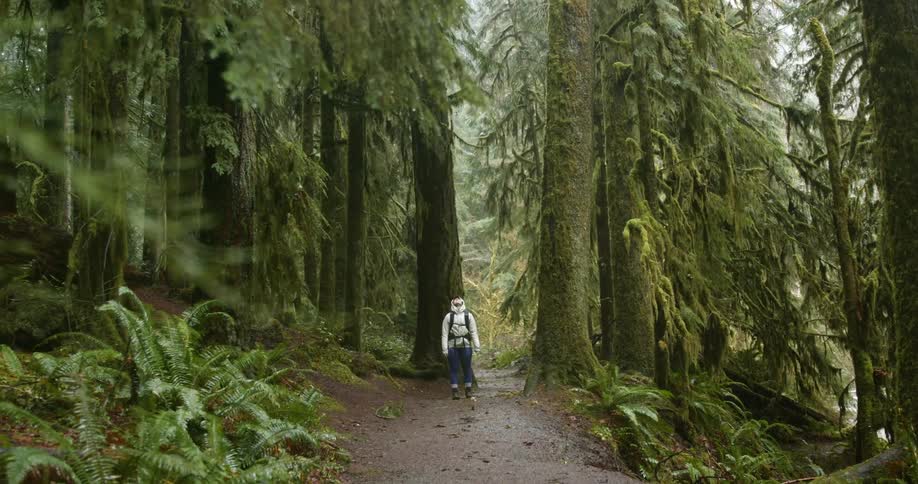 Woman with boots jeans and a white coat stands on dirt track and looks up at tall trees as it rains in the woods