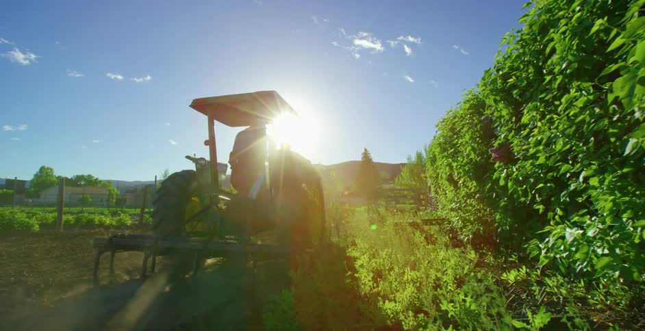 A farmer on a tractor in the crops