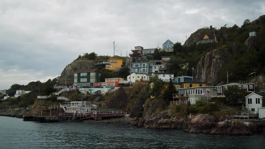 A bird flies over an island town off the coast