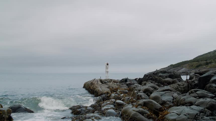 A person stands on a rocky coastline facing the ocean