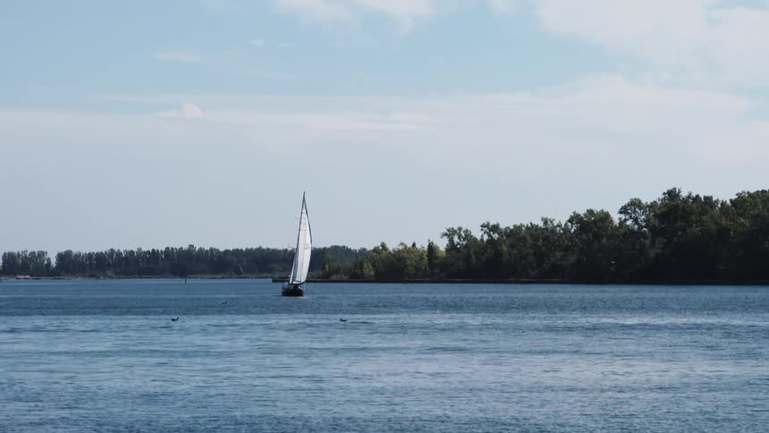 A boat sailing in a lake on a sunny summer day