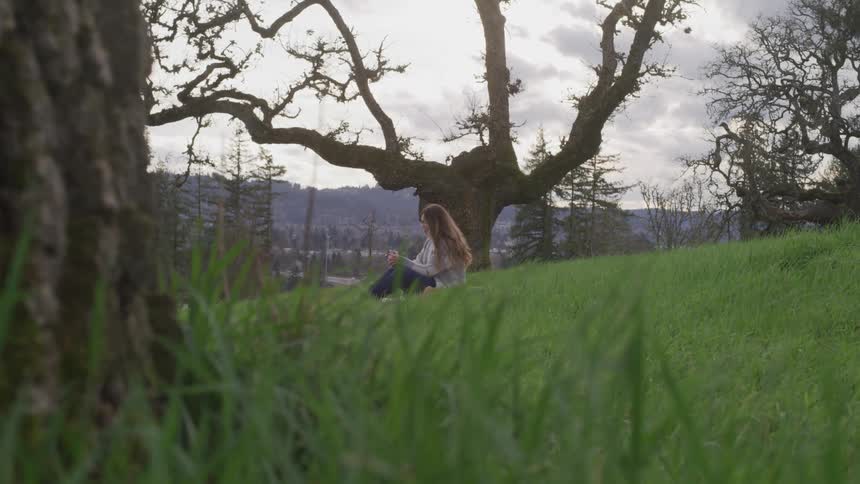Woman sits on grassy hill under gnarled tree with forest covered mountain on horizon
