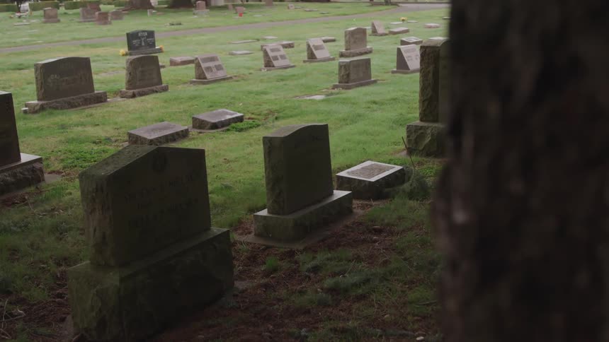 Rows of headstones and graves in a cemetery