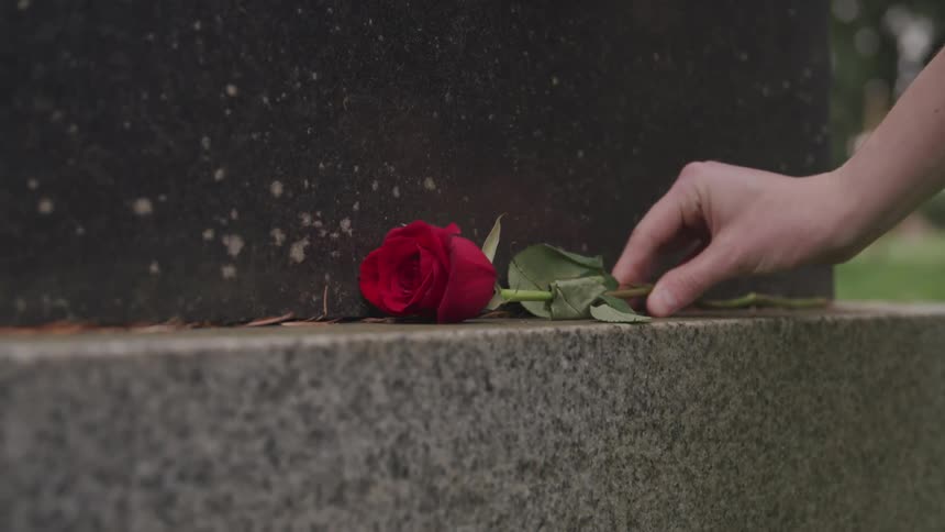 A woman places a rose on a gravesite
