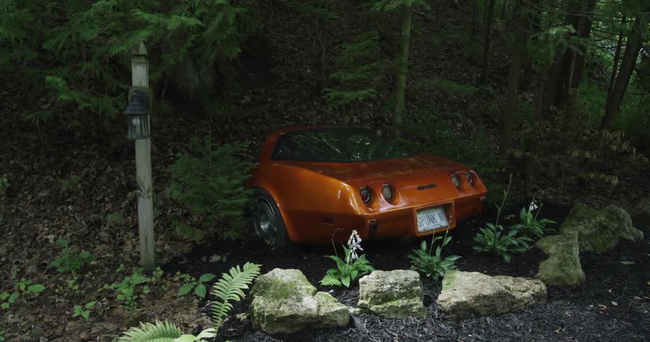 A old but shiny sports car is parked among the underbrush in a forest next to a driveway