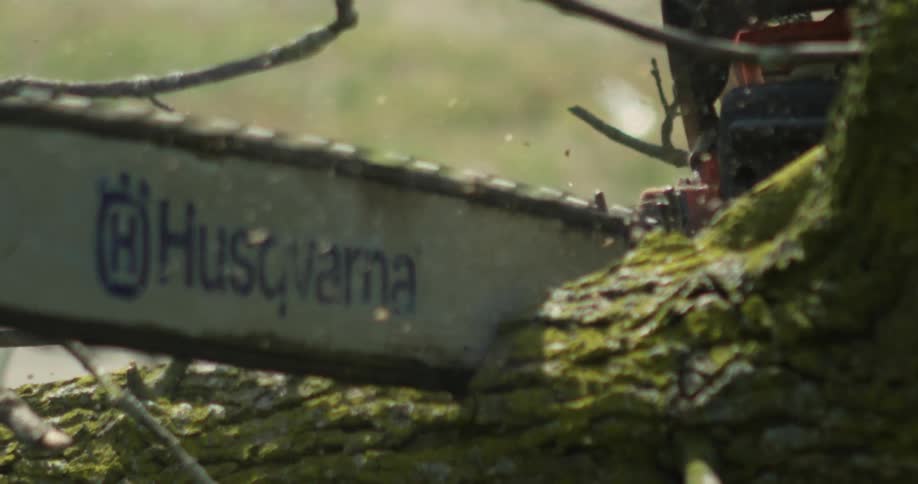 A chainsaw cuts through a fallen tree