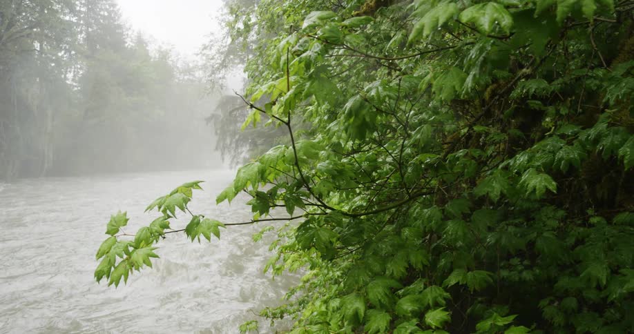 Slider out to a river in the rain