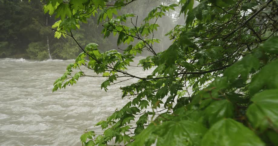 Push forward towards a fast flowing river