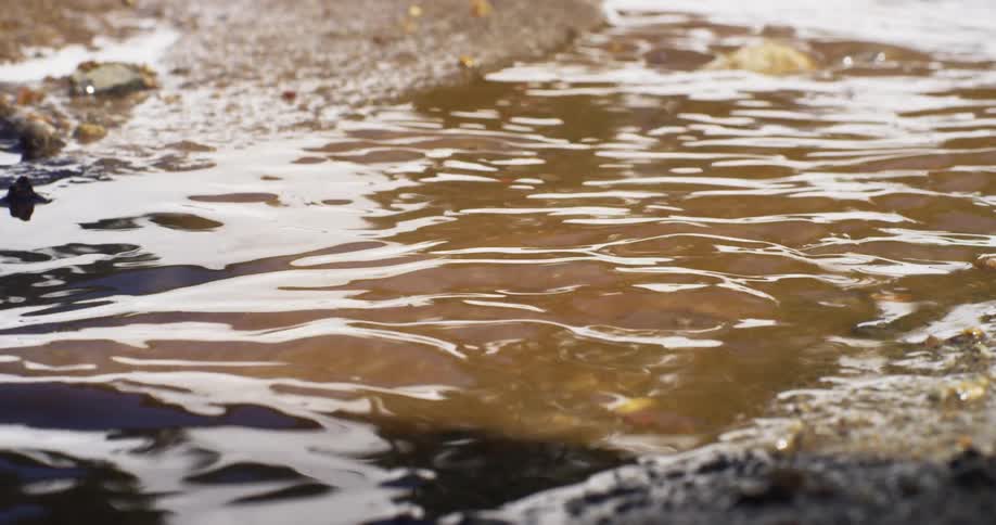 Muddy water flows in a small creek