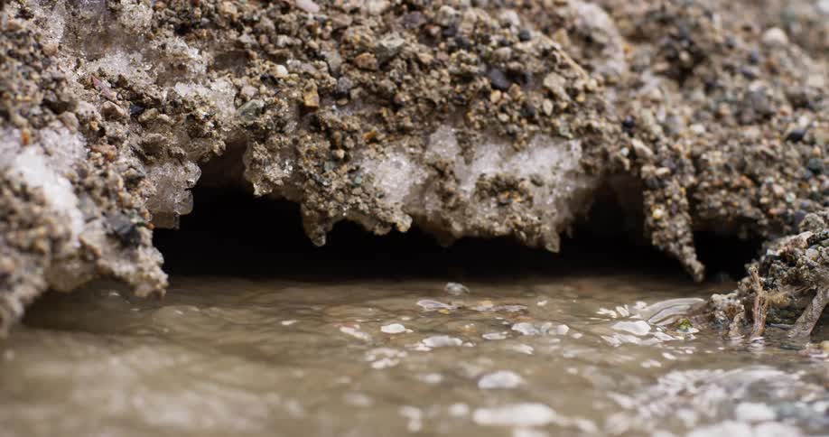 Dirty snow melting in the spring