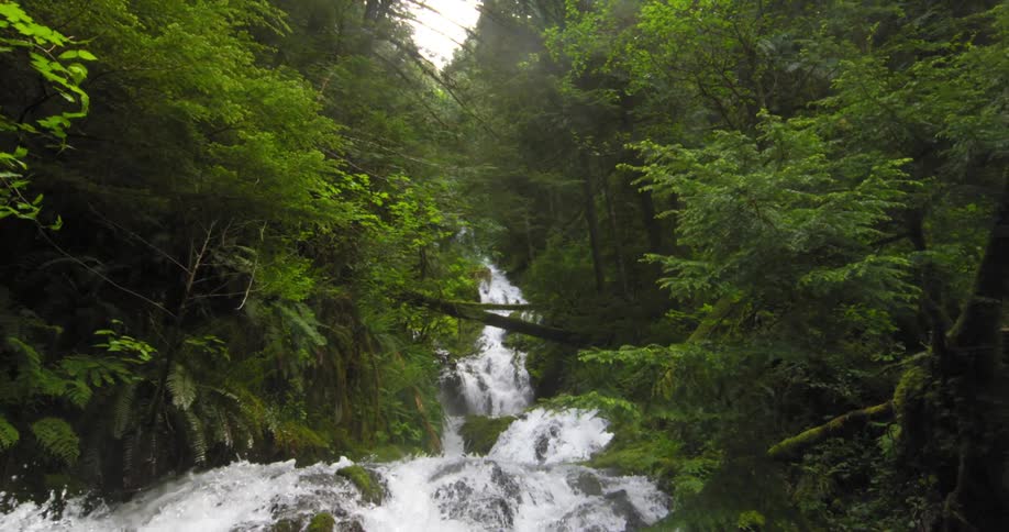 Dolly across a creek  flowing over rapids in a forest