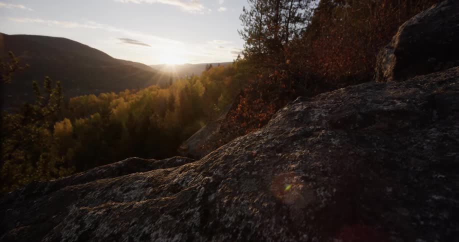 The sun rises over a fall forest