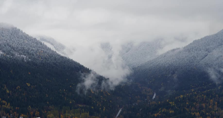 An autumn forest with snow above