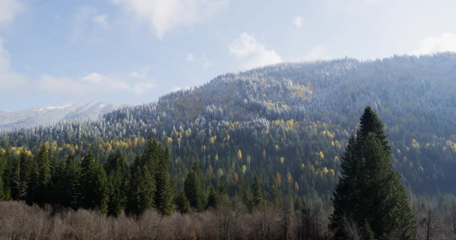 An autumn forest with snow in the hills