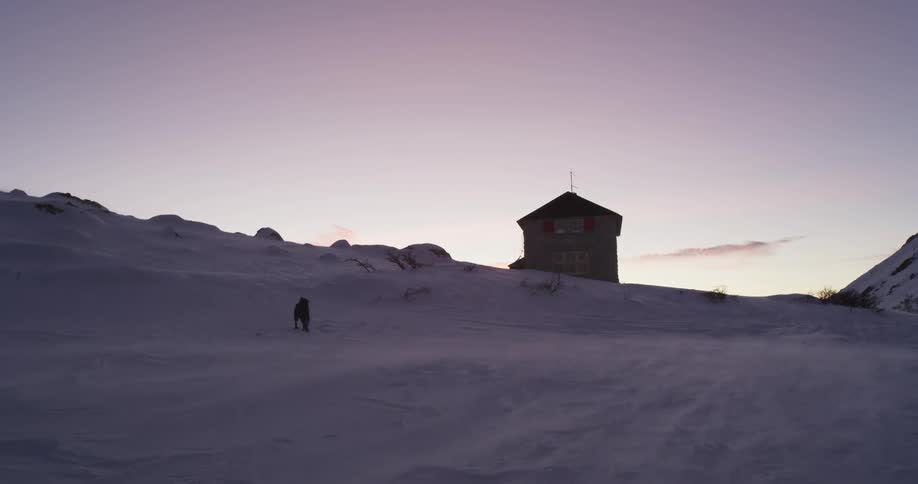 A dog runs in the heavy wind and snow