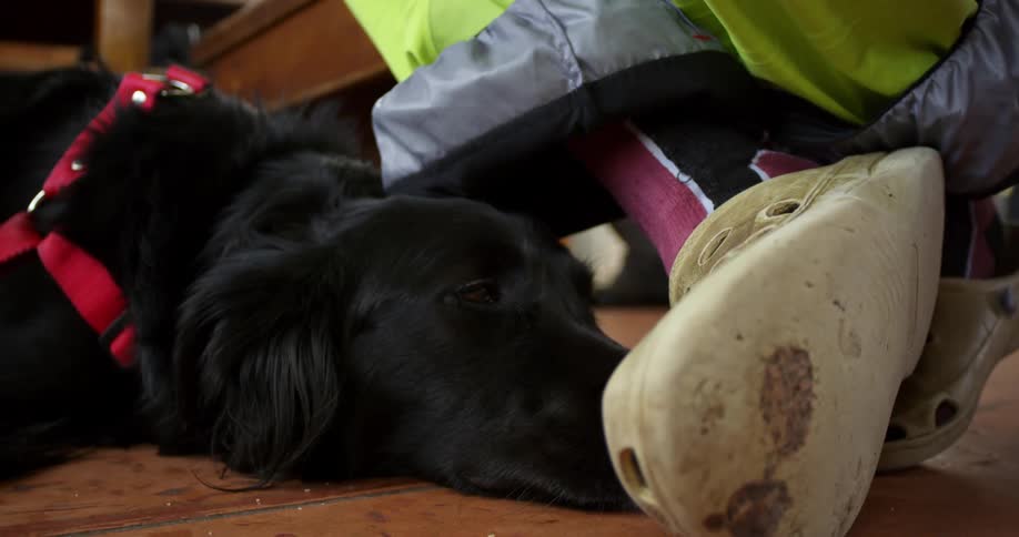 A dog sleeping at a persons feet