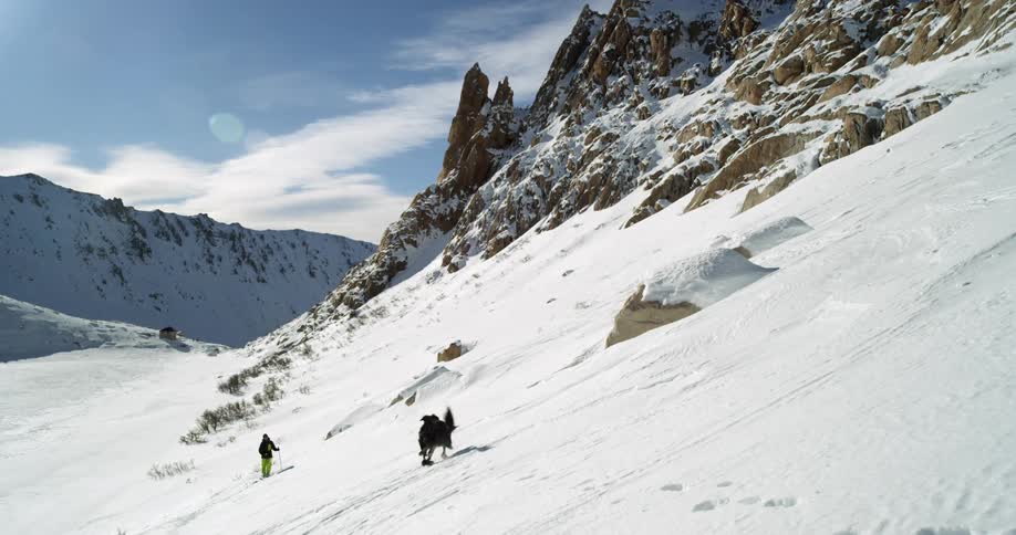 A black dog runs towards a person hiking in snowy mountains in the wilderness