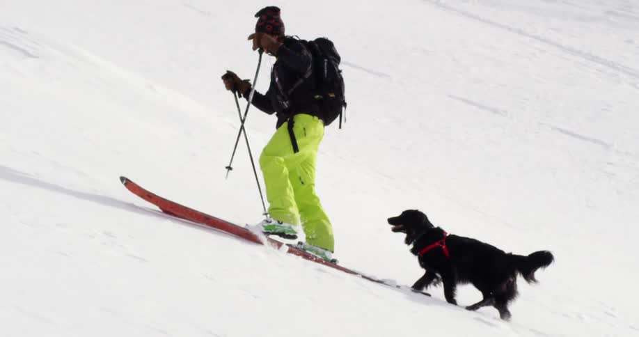 Skier climbs up the snowy mountain as a black dog follows him