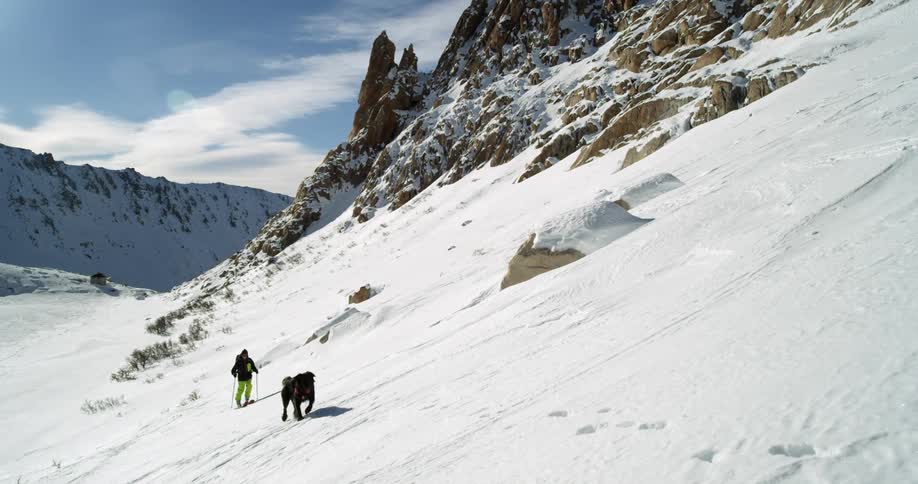 A man skis on a mountain as his dog runs ahead of him
