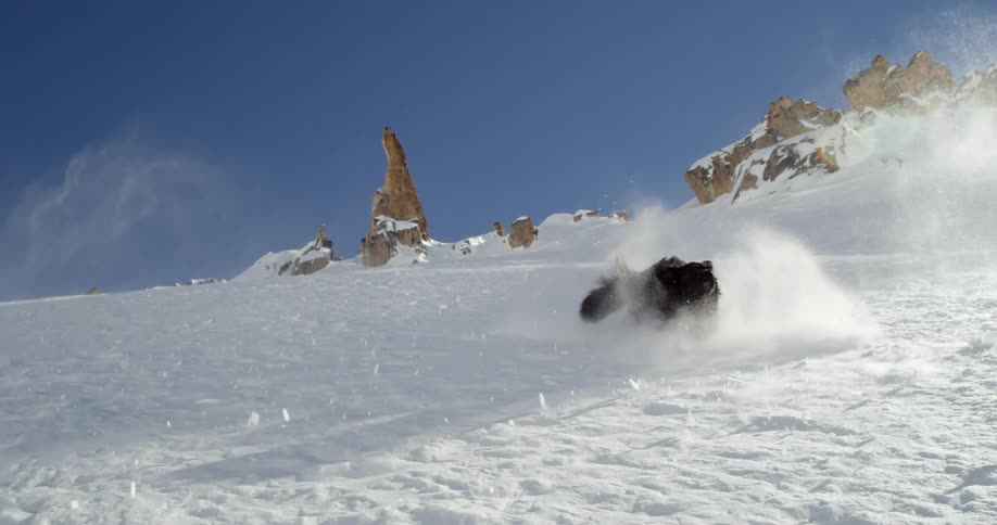 A dog comes racing down the slope