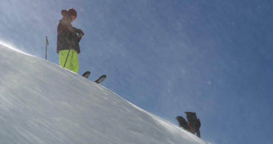 Skier and dog stand near steep slope as wind blows up snow