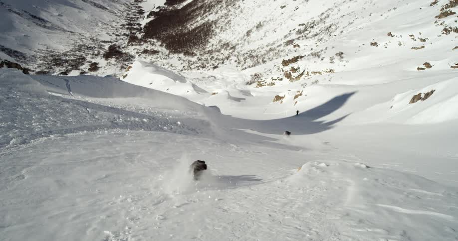 A person skis down a slope as a dog runs downhill through the snow after them