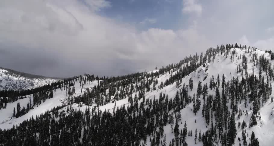 Snow covered hills with trees on them