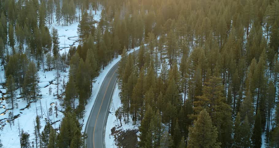 A paved road running through a forest on a winter day