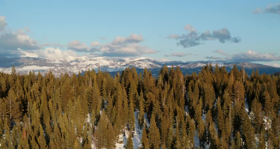 Snow covers ground under conifer forest occupying valley in shadow of mountains